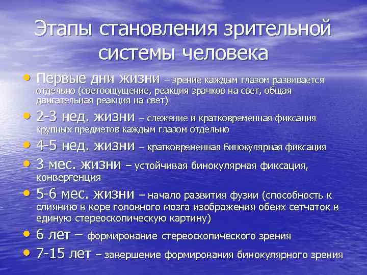 Человека привели к формированию бинокулярного зрения. Возрастные этапы формирования бинокулярного зрения. Этапы формирования зрительного образа. Возрастные особенности бинокулярного зрения. Возрастные особенности зрачка.