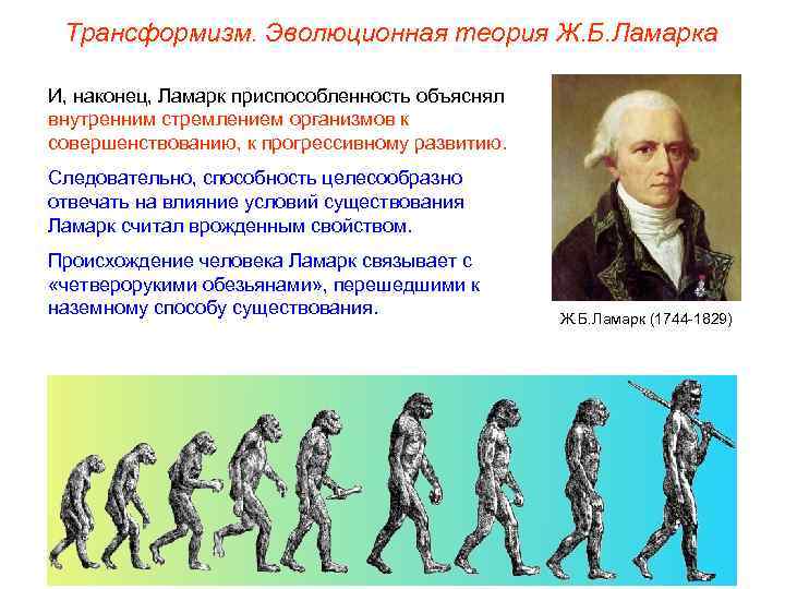 Трансформизм. Эволюционная теория Ж. Б. Ламарка И, наконец, Ламарк приспособленность объяснял внутренним стремлением организмов
