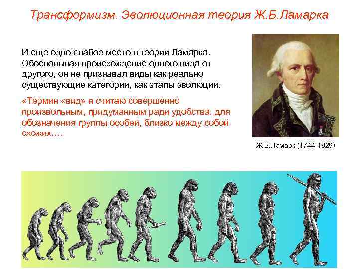 Трансформизм. Эволюционная теория Ж. Б. Ламарка И еще одно слабое место в теории Ламарка.