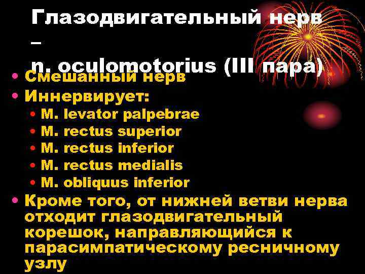 Глазодвигательный нерв – n. oculomotorius (III пара) • Смешанный нерв • Иннервирует: • M.