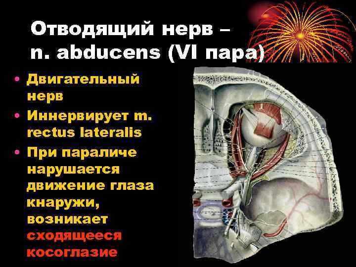 Отводящий нерв. Отводящий нерв (n. ABDUCENS) – vi пара. Vi пара - отводящий нерв. Отводящий нерв ход волокон. Отводящий нерв нерв иннервирует.