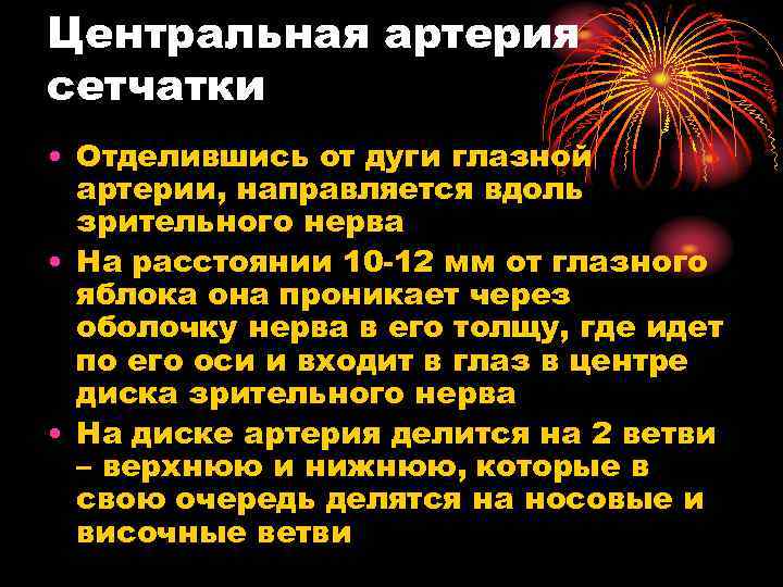 Центральная артерия сетчатки • Отделившись от дуги глазной артерии, направляется вдоль зрительного нерва •