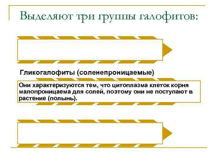 Выделяют три группы галофитов: Гликогалофиты (соленепроницаемые) Они характеризуются тем, что цитоплазма клеток корня малопроницаема