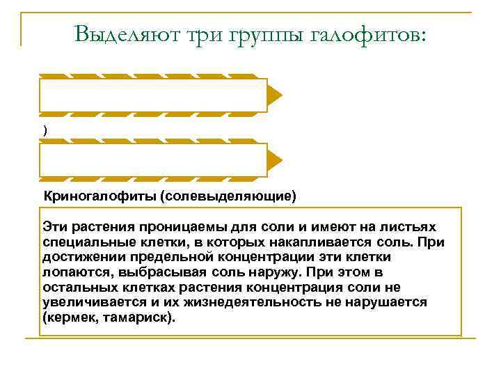 Выделяют три группы галофитов: ) Криногалофиты (солевыделяющие) Эти растения проницаемы для соли и имеют