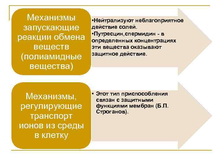 Механизмы запускающие реакции обмена веществ (полиамидные вещества) Механизмы, регулирующие транспорт ионов из среды в