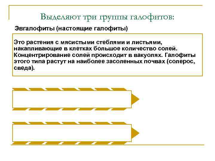 Выделяют три группы галофитов: Эвгалофиты (настоящие галофиты) Это растения с мясистыми стеблями и листьями,