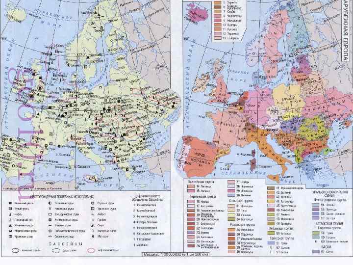 Company name www. themegallery. com 