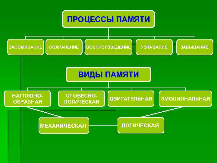 ПРОЦЕССЫ ПАМЯТИ ЗАПОМИНАНИЕ СОХРАНЕНИЕ ВОСПРОИЗВЕДЕНИЕ УЗНАВАНИЕ ЗАБЫВАНИЕ ВИДЫ ПАМЯТИ НАГЛЯДНООБРАЗНАЯ СЛОВЕСНОЛОГИЧЕСКАЯ МЕХАНИЧЕСКАЯ ДВИГАТЕЛЬНАЯ ЛОГИЧЕСКАЯ