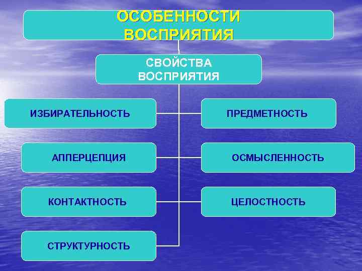 ОСОБЕННОСТИ ВОСПРИЯТИЯ СВОЙСТВА ВОСПРИЯТИЯ ИЗБИРАТЕЛЬНОСТЬ АППЕРЦЕПЦИЯ КОНТАКТНОСТЬ СТРУКТУРНОСТЬ ПРЕДМЕТНОСТЬ ОСМЫСЛЕННОСТЬ ЦЕЛОСТНОСТЬ 