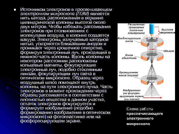 l Источником электронов в просвечивающем электронном микроскопе (ПЭМ) является нить катода, расположенная в вершине