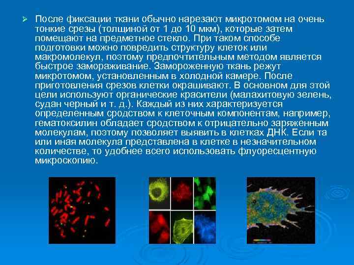 Ø После фиксации ткани обычно нарезают микротомом на очень тонкие срезы (толщиной от 1