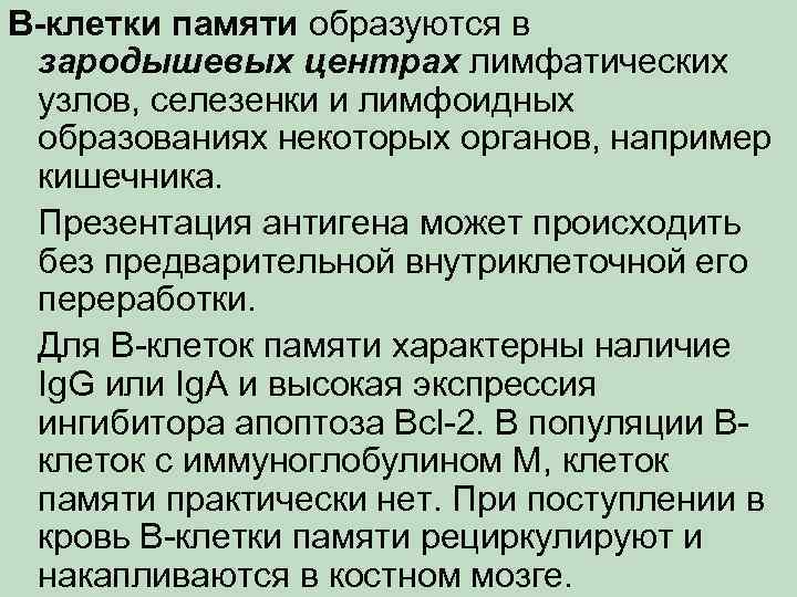 В-клетки памяти образуются в зародышевых центрах лимфатических узлов, селезенки и лимфоидных образованиях некоторых органов,