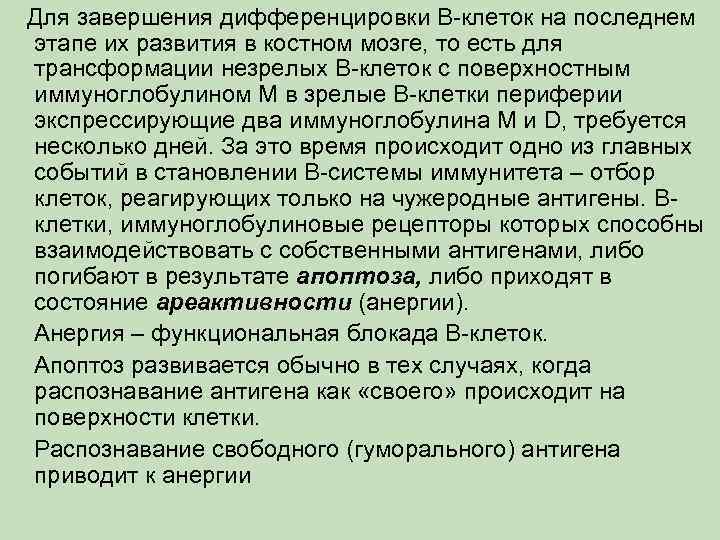 Для завершения дифференцировки В-клеток на последнем этапе их развития в костном мозге, то есть