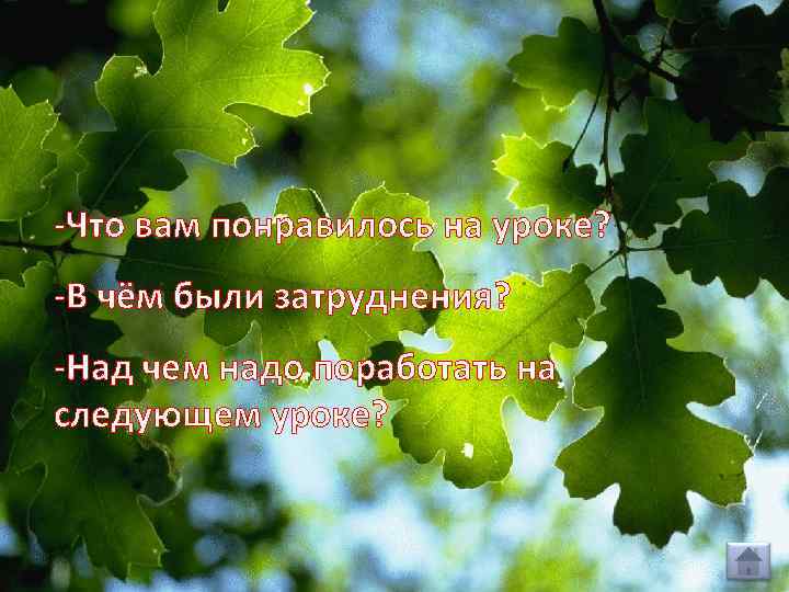 -Что вам понравилось на уроке? -В чём были затруднения? -Над чем надо поработать на
