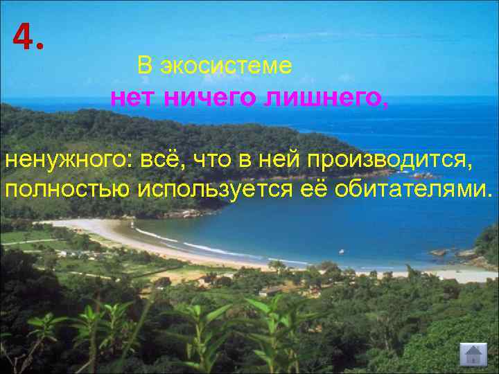 4. В экосистеме нет ничего лишнего, ненужного: всё, что в ней производится, полностью используется