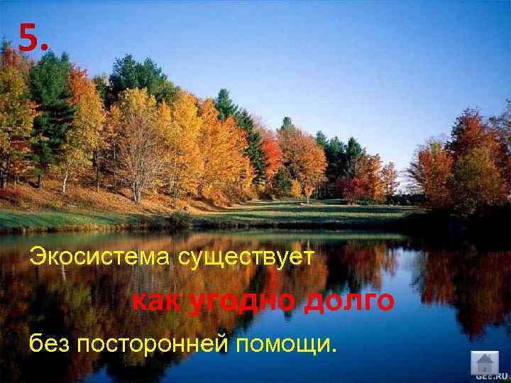 5. Экосистема существует как угодно долго без посторонней помощи. 