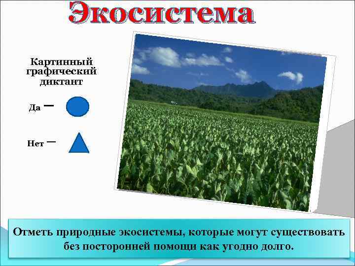 Экосистема Картинный графический диктант Да –круг – треугольник Нет Отметь природные экосистемы, которые могут