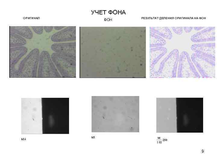  ОРИГИНАЛ УЧЕТ ФОНА ФОН РЕЗУЛЬТАТ ДЕЛЕНИЯ ОРИГИНАЛА НА ФОН 9 