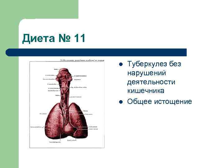 Диета № 11 l l Туберкулез без нарушений деятельности кишечника Общее истощение 