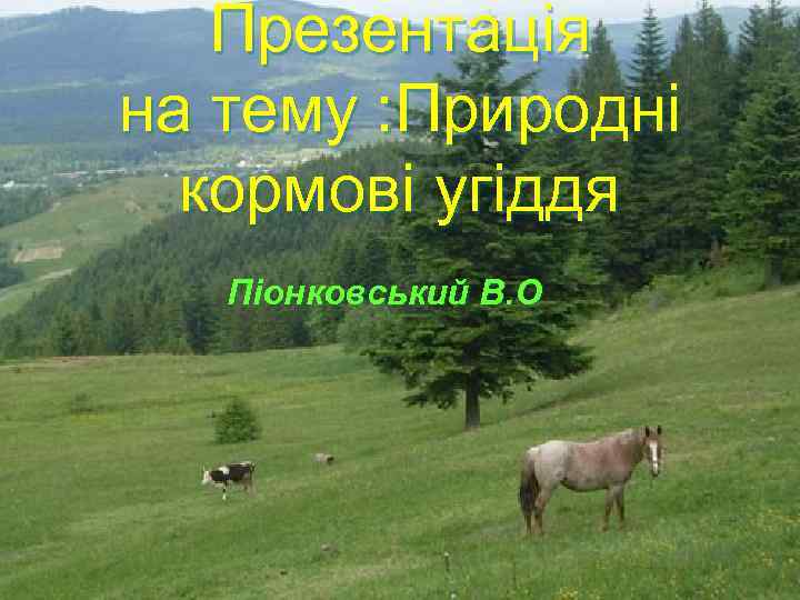 Презентація на тему : Природні кормові угіддя Піонковський В. О 