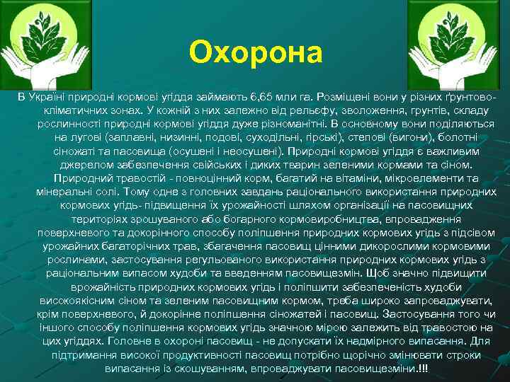 Охорона В Україні природні кормові угіддя займають 6, 65 мли га. Розміщені вони у