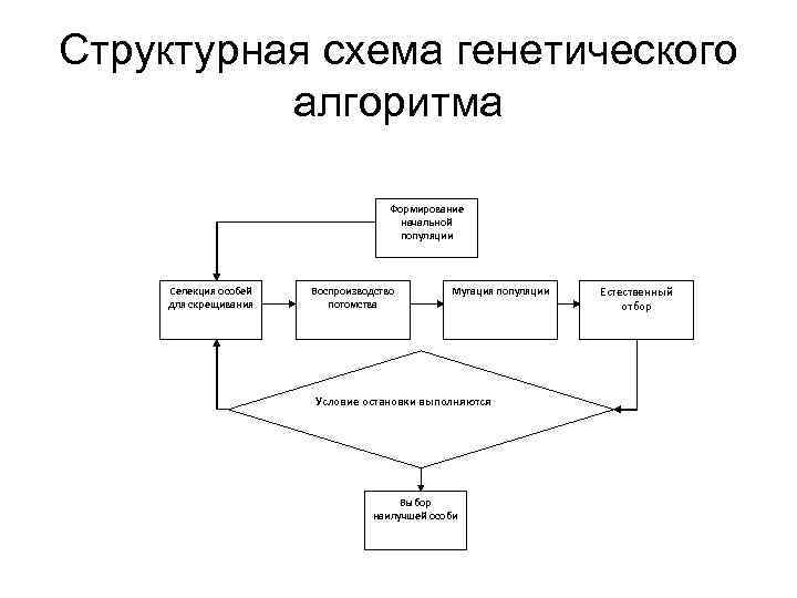 Структурная схема генетического алгоритма Формирование начальной популяции Селекция особей для скрещивания Воспроизводство потомства Мутация