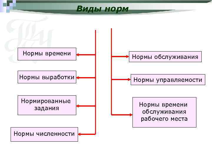 Виды норм Нормы времени Нормы выработки Нормированные задания Нормы численности Нормы обслуживания Нормы управляемости