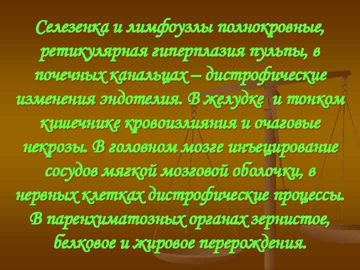 Селезенка и лимфоузлы полнокровные, ретикулярная гиперплазия пульпы, в почечных канальцах – дистрофические изменения эндотелия.