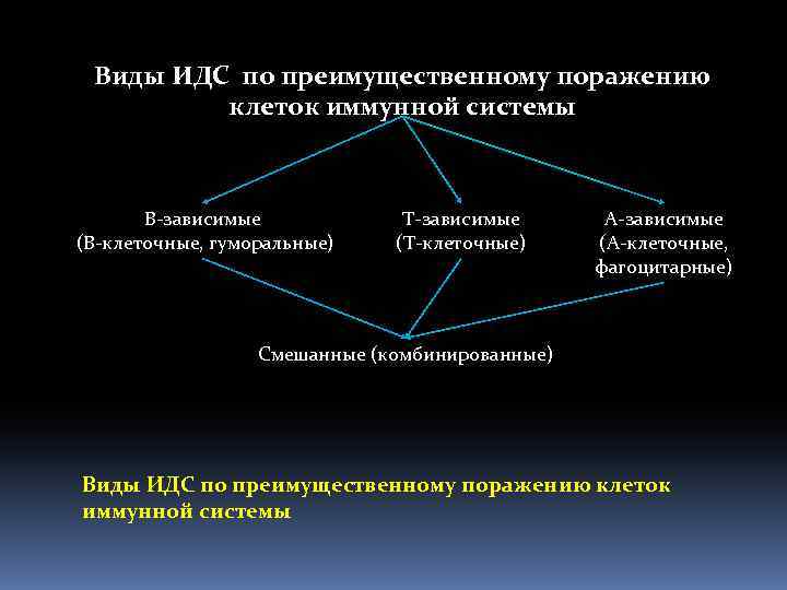 Виды ИДС по преимущественному поражению клеток иммунной системы В-зависимые (В-клеточные, гуморальные) Т-зависимые (Т-клеточные) А-зависимые