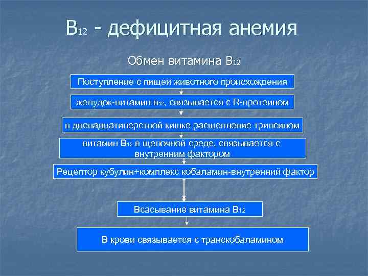 В 12 - дефицитная анемия Обмен витамина В 12 Поступление с пищей животного происхождения