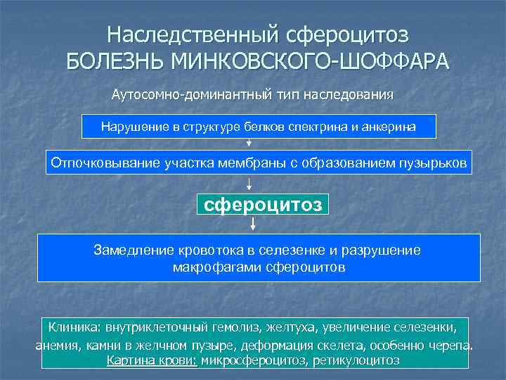 Наследственный сфероцитоз БОЛЕЗНЬ МИНКОВСКОГО-ШОФФАРА Аутосомно-доминантный тип наследования Нарушение в структуре белков спектрина и анкерина