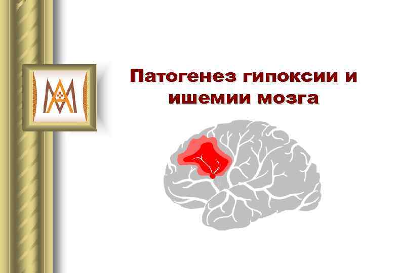 Патогенез гипоксии и ишемии мозга 