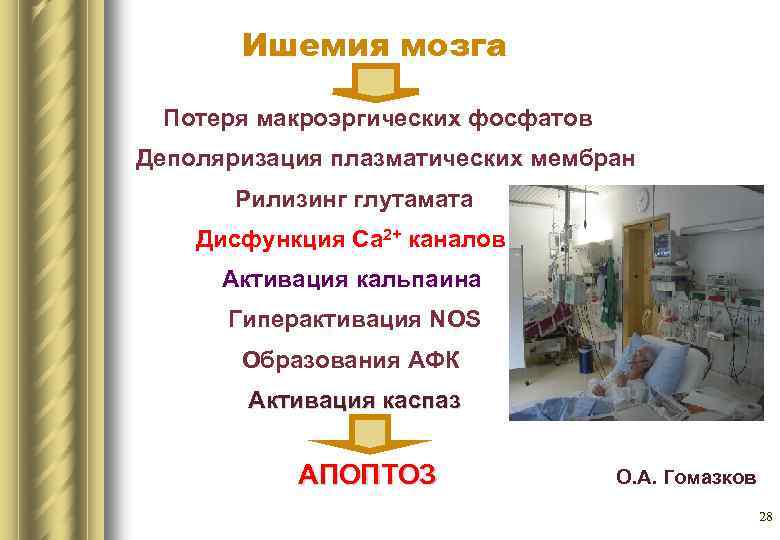 Ишемия мозга Потеря макроэргических фосфатов Деполяризация плазматических мембран Рилизинг глутамата Дисфункция Са 2+ каналов