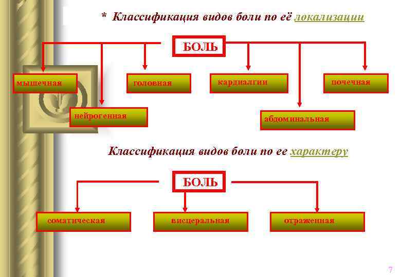 * Классификация видов боли по её локализации БОЛЬ мышечная головная кардиалгии нейрогенная почечная абдоминальная