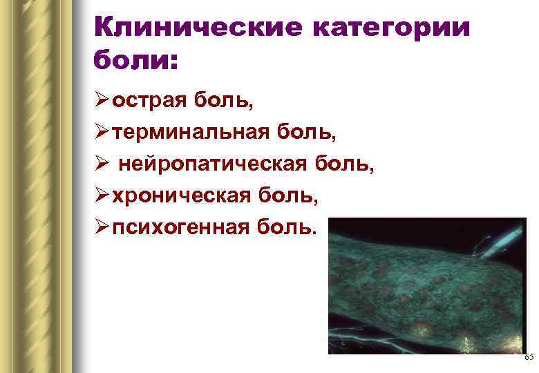 Клинические категории боли: Ø острая боль, Ø терминальная боль, Ø нейропатическая боль, Ø хроническая