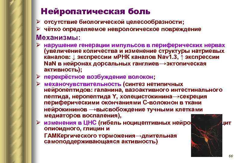 Вопросы боли. Нейропатическая боль патогенез. Механизм развития нейропатической боли. Патофизиология нейропатической боли. Нейропатическая боль неврология.