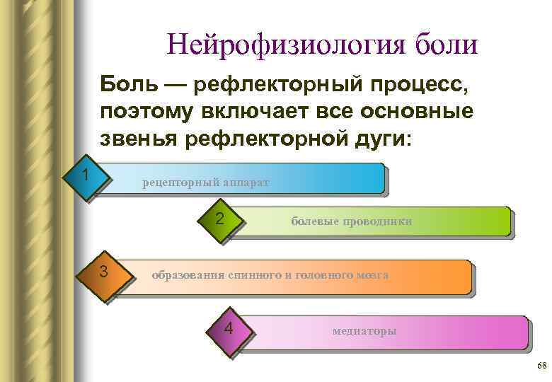 Нейрофизиология боли Боль — рефлекторный процесс, поэтому включает все основные звенья рефлекторной дуги: 1