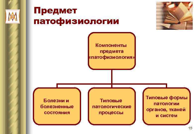 Предмет патофизиологии Компоненты предмета «патофизиология» Болезни и болезненные состояния Типовые патологические процессы Типовые формы