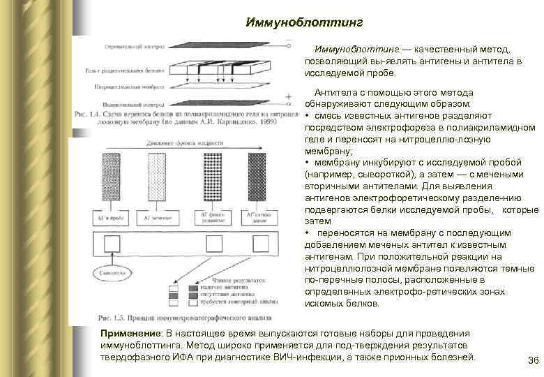 Иммуноблоттинг — качественный метод, позволяющий вы являть антигены и антитела в исследуемой пробе. Антитела