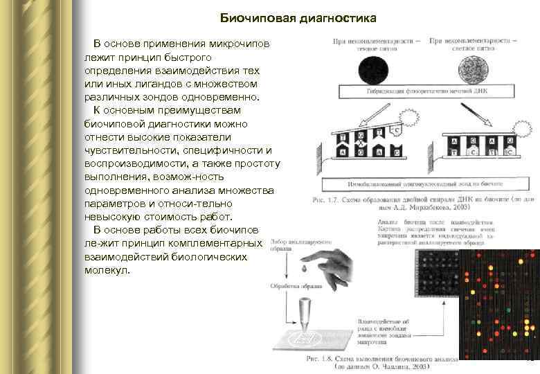 Биочиповая диагностика В основе применения микрочипов лежит принцип быстрого определения взаимодействия тех или иных