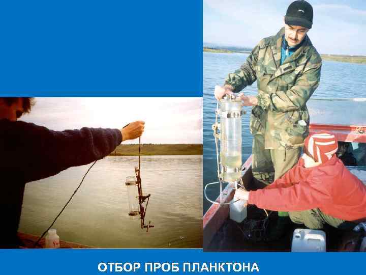 ОТБОР ПРОБ ПЛАНКТОНА 