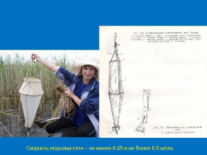 Скорость подъема сети – не менее 0. 25 и не более 0. 5 м/сек