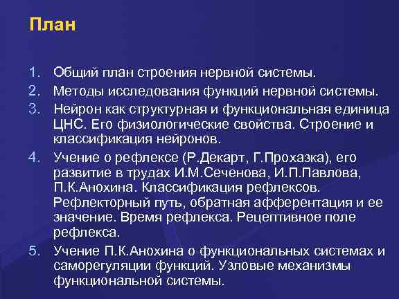 План 1. Общий план строения нервной системы. 2. Методы исследования функций нервной системы. 3.