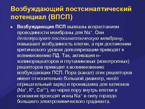 Возбуждающий постсинаптический потенциал (ВПСП) Возбуждающие ПСП вызваны возрастанием проводимости мембраны для Na+. Они деполяризуют