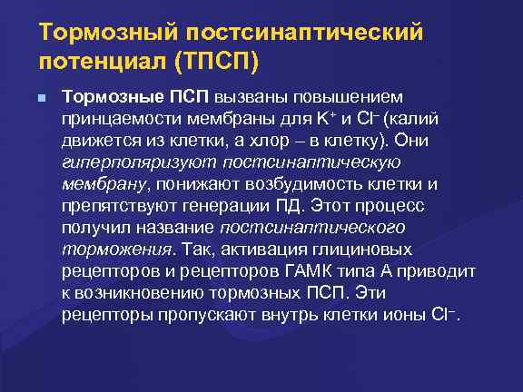 Тормозный постсинаптический потенциал (ТПСП) Тормозные ПСП вызваны повышением принцаемости мембраны для K+ и Cl–