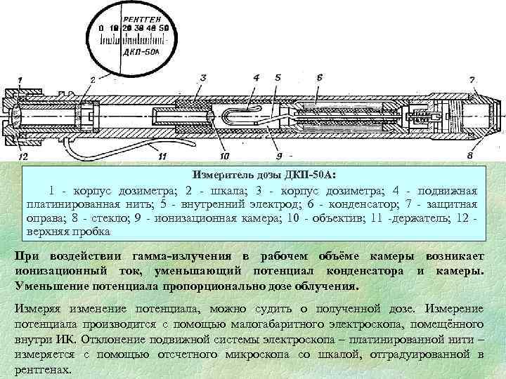  Измеритель дозы ДКП-50 А: 1 - корпус дозиметра; 2 - шкала; 3 -