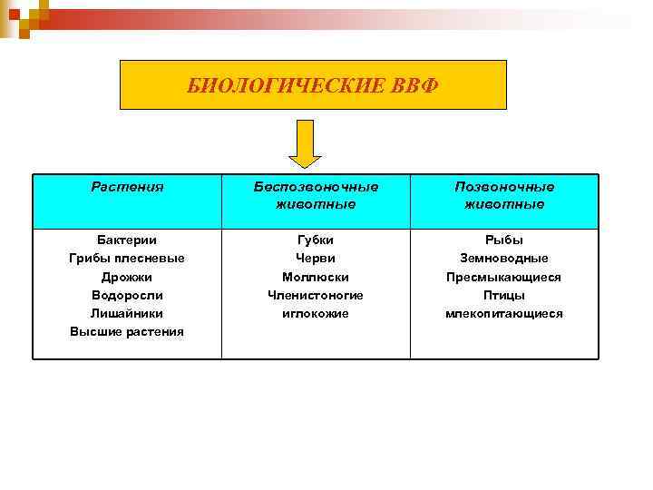 БИОЛОГИЧЕСКИЕ ВВФ Растения Беспозвоночные животные Позвоночные животные Бактерии Грибы плесневые Дрожжи Водоросли Лишайники Высшие