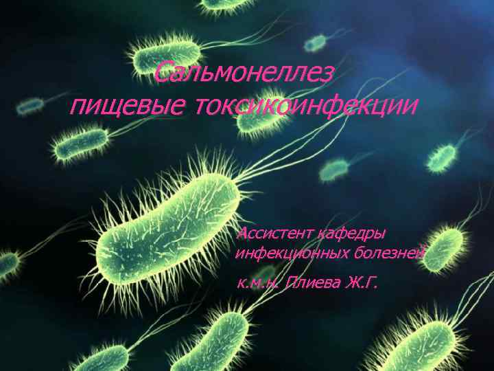Сальмонеллез пищевые токсикоинфекции Ассистент кафедры инфекционных болезней к. м. н. Плиева Ж. Г. 