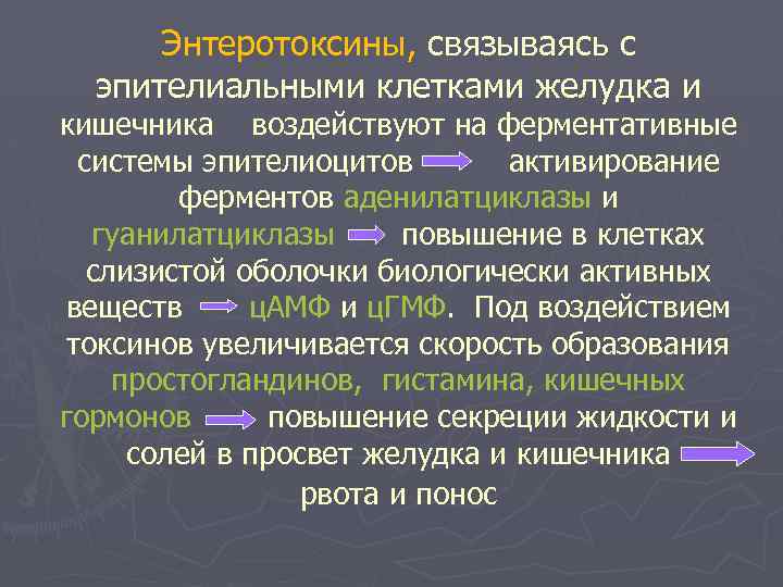 Энтеротоксины, связываясь с эпителиальными клетками желудка и кишечника воздействуют на ферментативные системы эпителиоцитов активирование