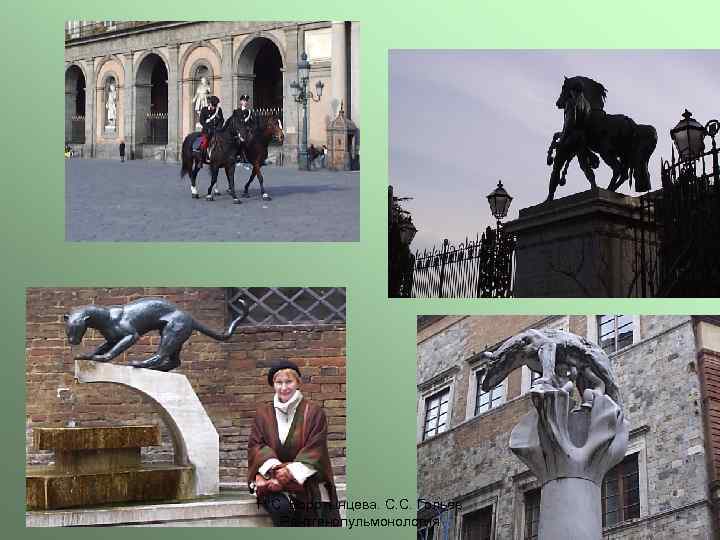 Н. С. Воротынцева. С. С. Гольев Рентгенопульмонология 